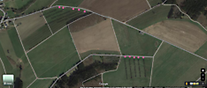 Obstbaeume_Steinbach_und_Halenfeld_2025-02-26